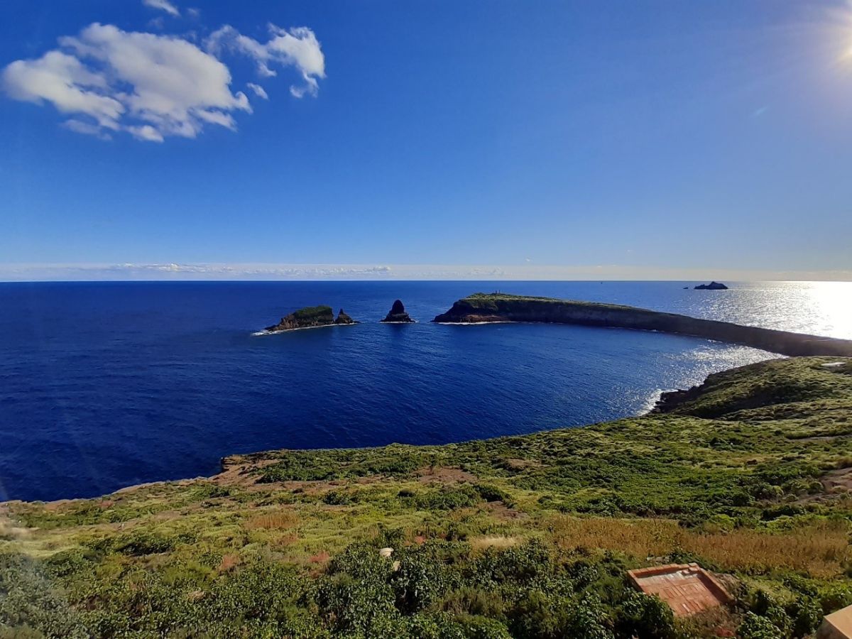 Encuentran contaminación industrial en corales de Islas Columbretes