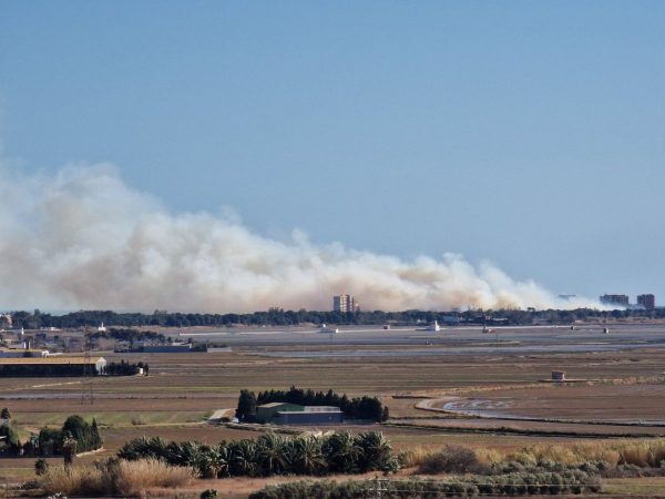 Estabilizado el incendio forestal de El Saler