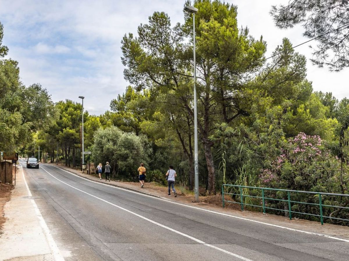 Farolas nuevas en las urbanizaciones Las Palmas, La Parreta y Montornés