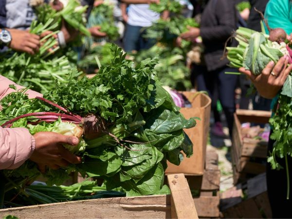 INTERECO denuncia acusaciones falsas al sector ecológico español