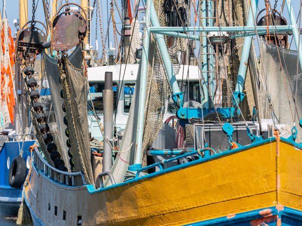 Los pescadores de arrastre de la provincia de Castellón paran su actividad