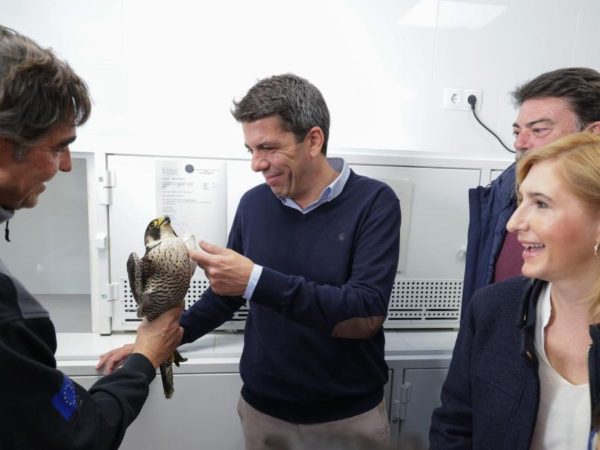 Mazón anuncia un estatuto del voluntariado en protección animal