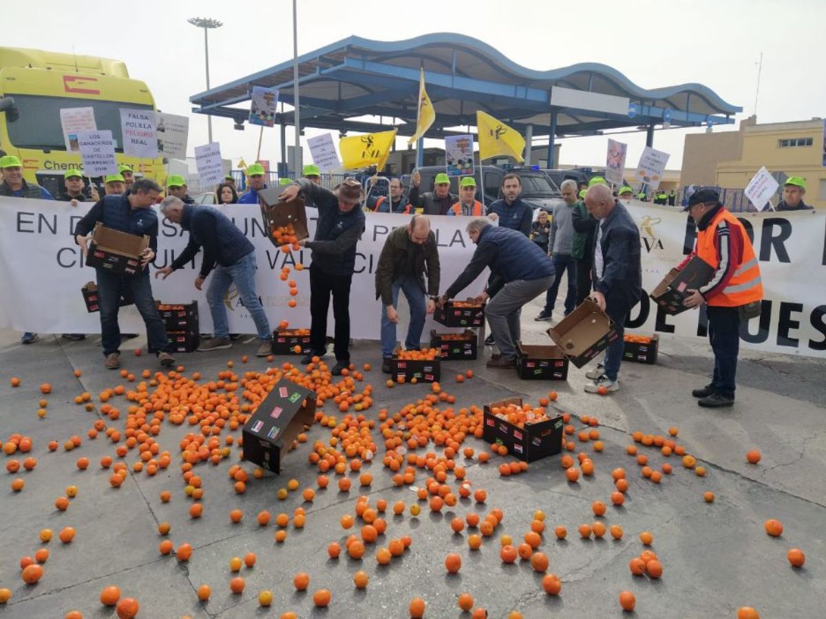 Organizaciones agrarias se manifiestan en el puerto de Castellón