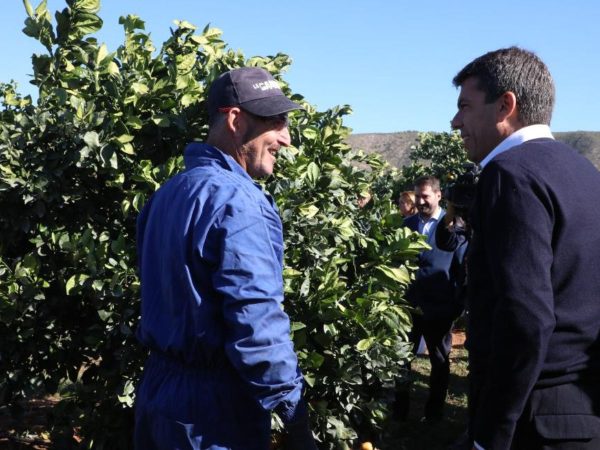 Promoción del sector hortofrutícola valenciano en Fruit Logística Berlín 2024