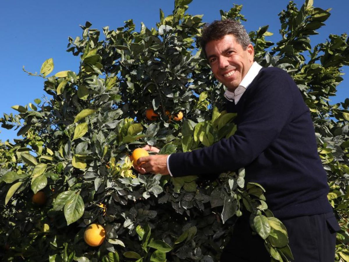 Promoción del sector hortofrutícola valenciano en Fruit Logística Berlín 2024. Mazón naranja