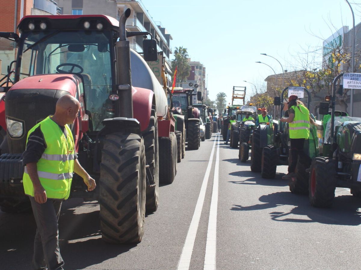 Protesta de las organizaciones agrarias en el puerto de Castellón