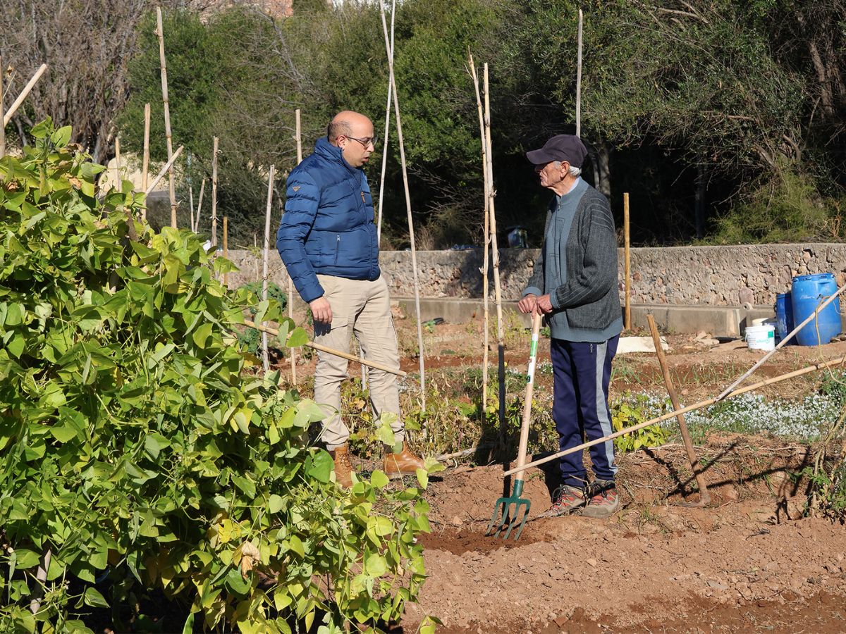 Sorteo de 26 parcelas del huerto urbano la Vila-roja en Almassora