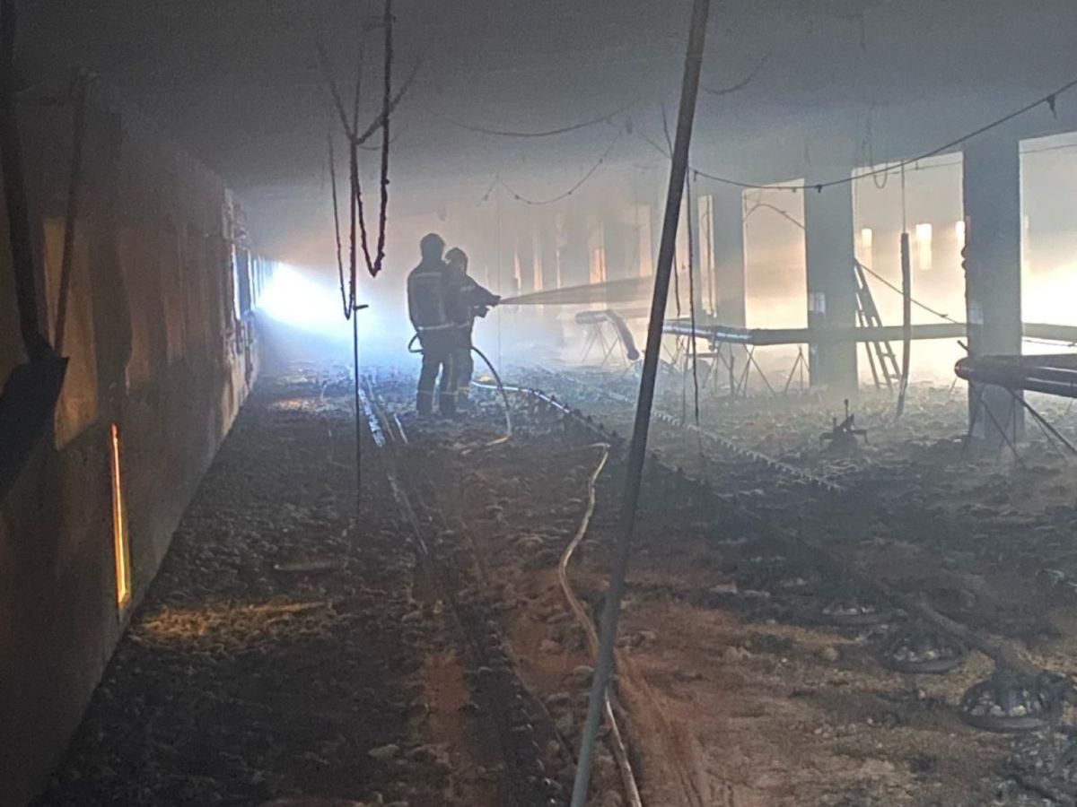 Un incendio en una granja de Los Rosildos se cobra 21.000 pollos