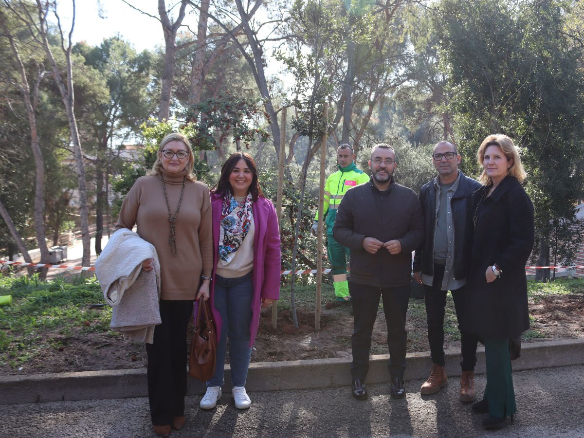 Vila-real destaca el Termet en el centenario de la plantación de 3.000 pinos 1