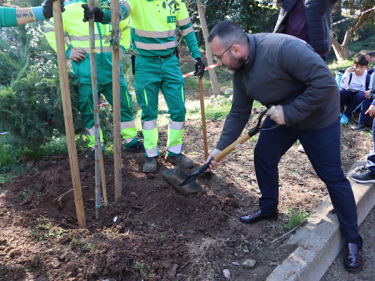 Vila-real destaca el Termet en el centenario de la plantación de 3.000 pinos 3