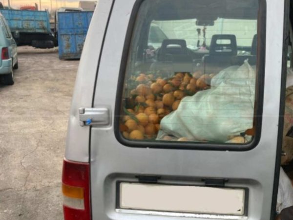 Sorprendido en Burriana con 950 kilos de naranjas en su coche