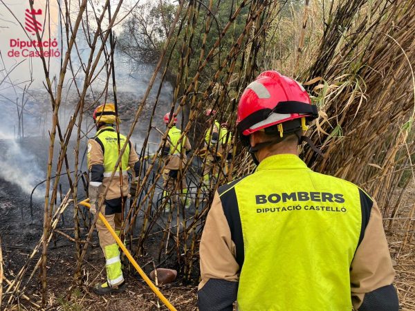 El incendio forestal en Fanzara ya está estabilizado