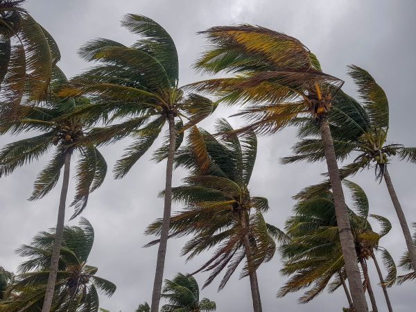 El fuerte viento alcanza los 148 kilómetros por hora en Sant Mateu