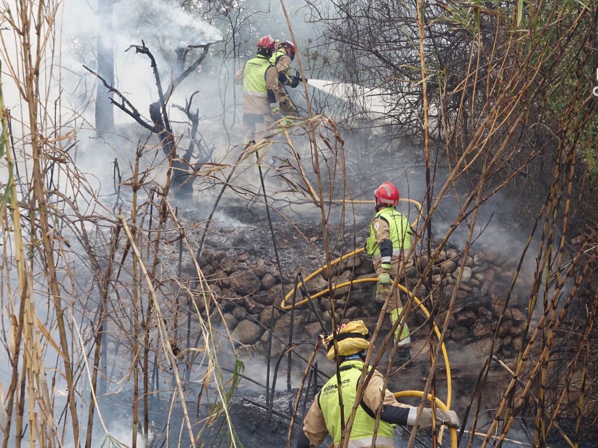 Evolucion positiva del incendio forestal en Fanzara