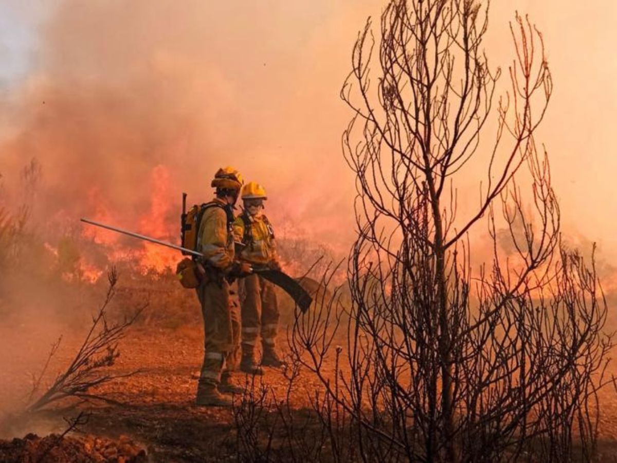 Incendio cerca del antiguo campo de fútbol de Altura