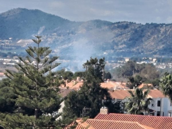 Incendio en el Palmeral de Benicàssim deja un herido