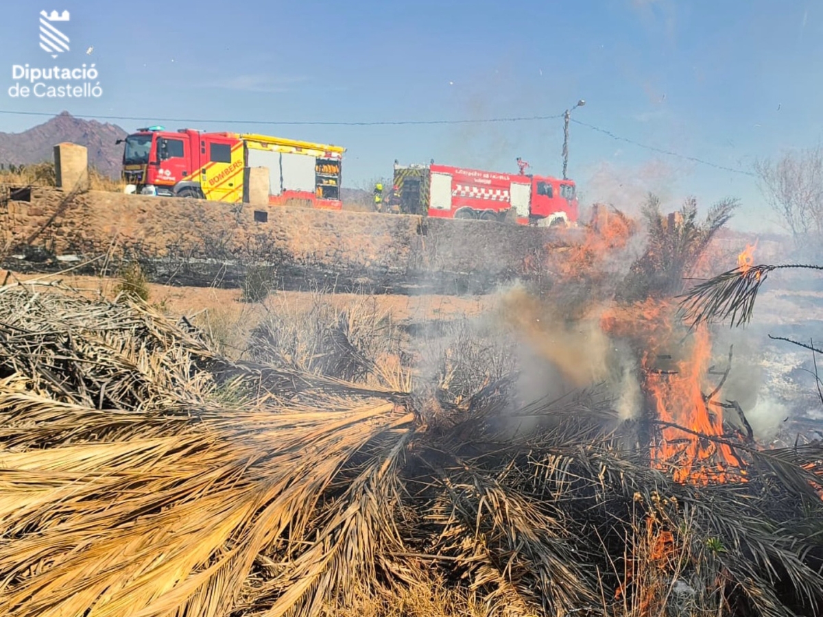 Incendio en el Palmeral de Benicàssim deja un herido