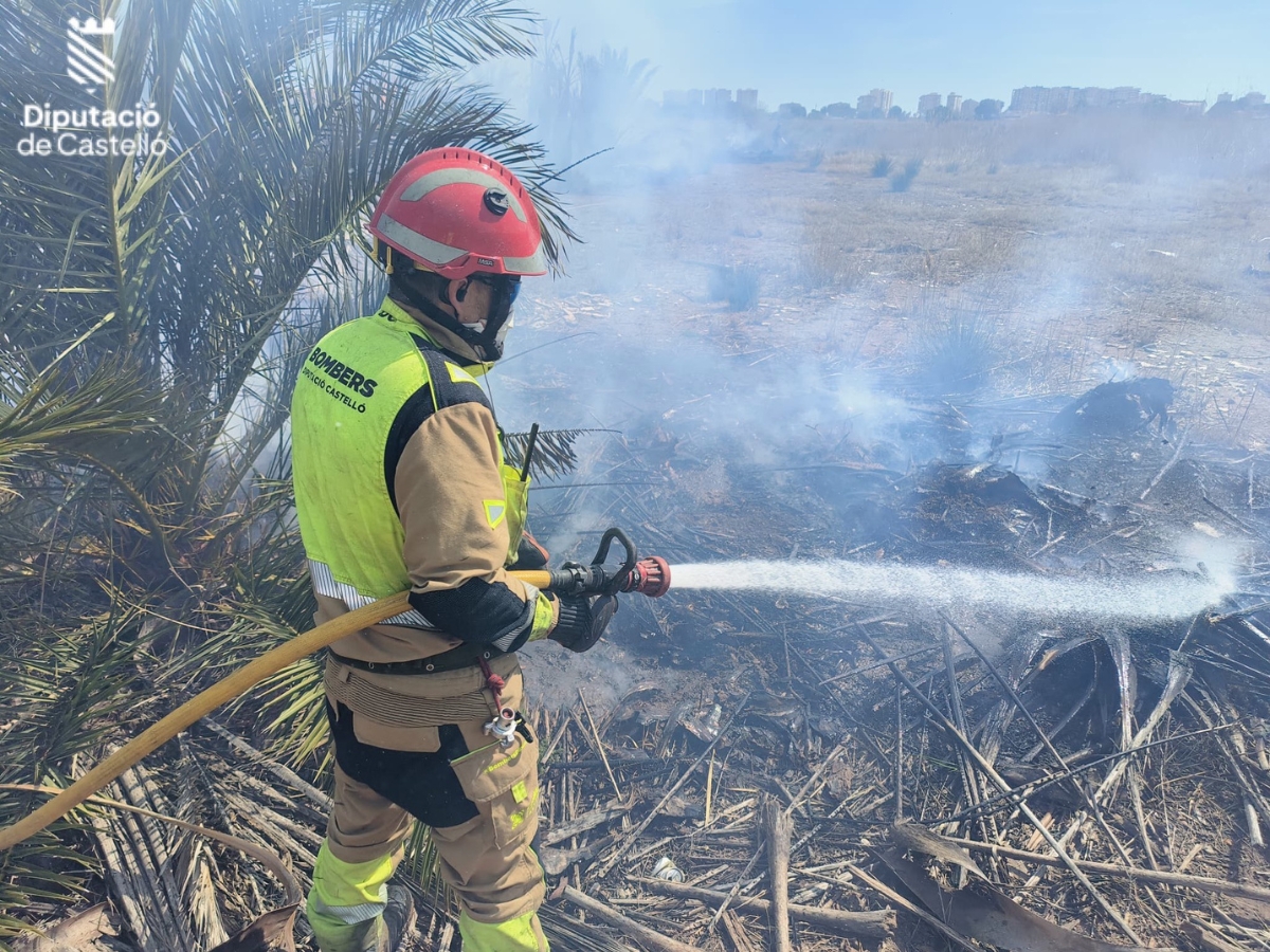 Incendio en el Palmeral de Benicàssim deja un herido