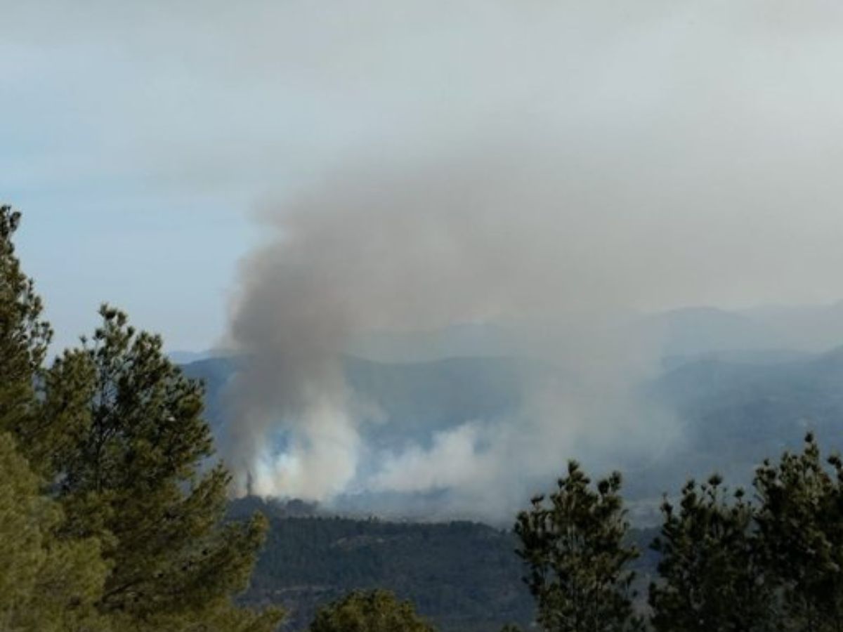 Incendio en la zona de 'La Lleuja' en Fanzara