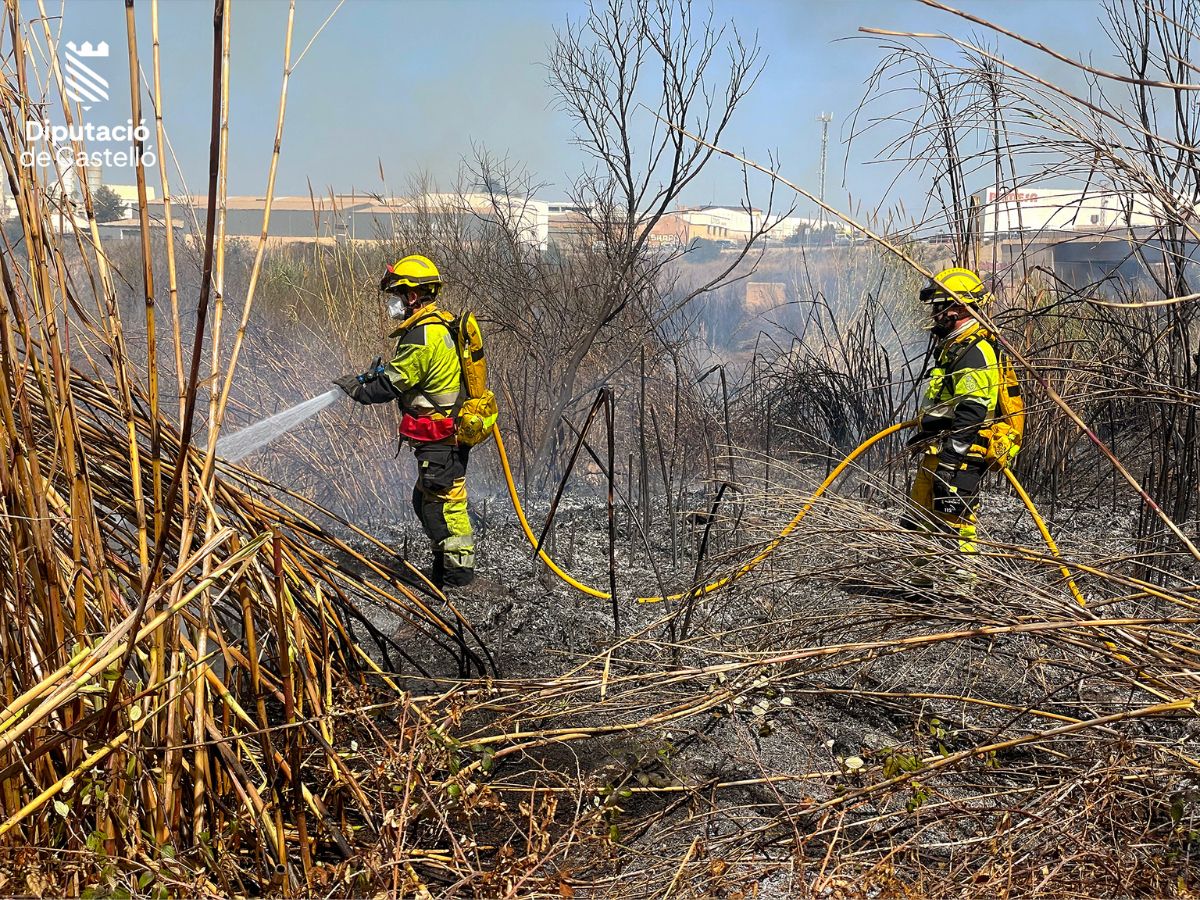 Incendio forestal en Santa Quiteria, entre Almassora y Vila-real Rio Millars 3