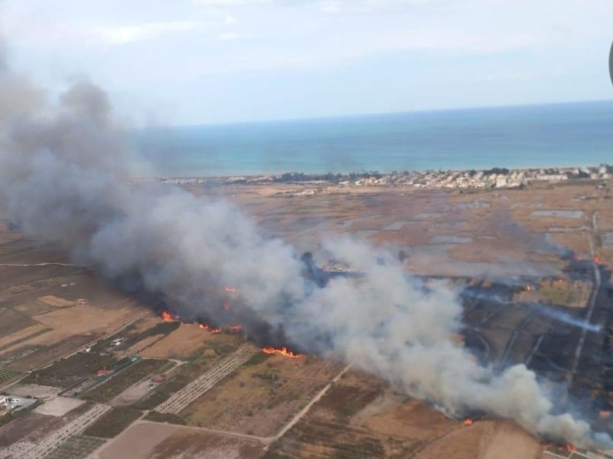 Incendio forestal en la marjal de Sagunto, en el límite con Castellón