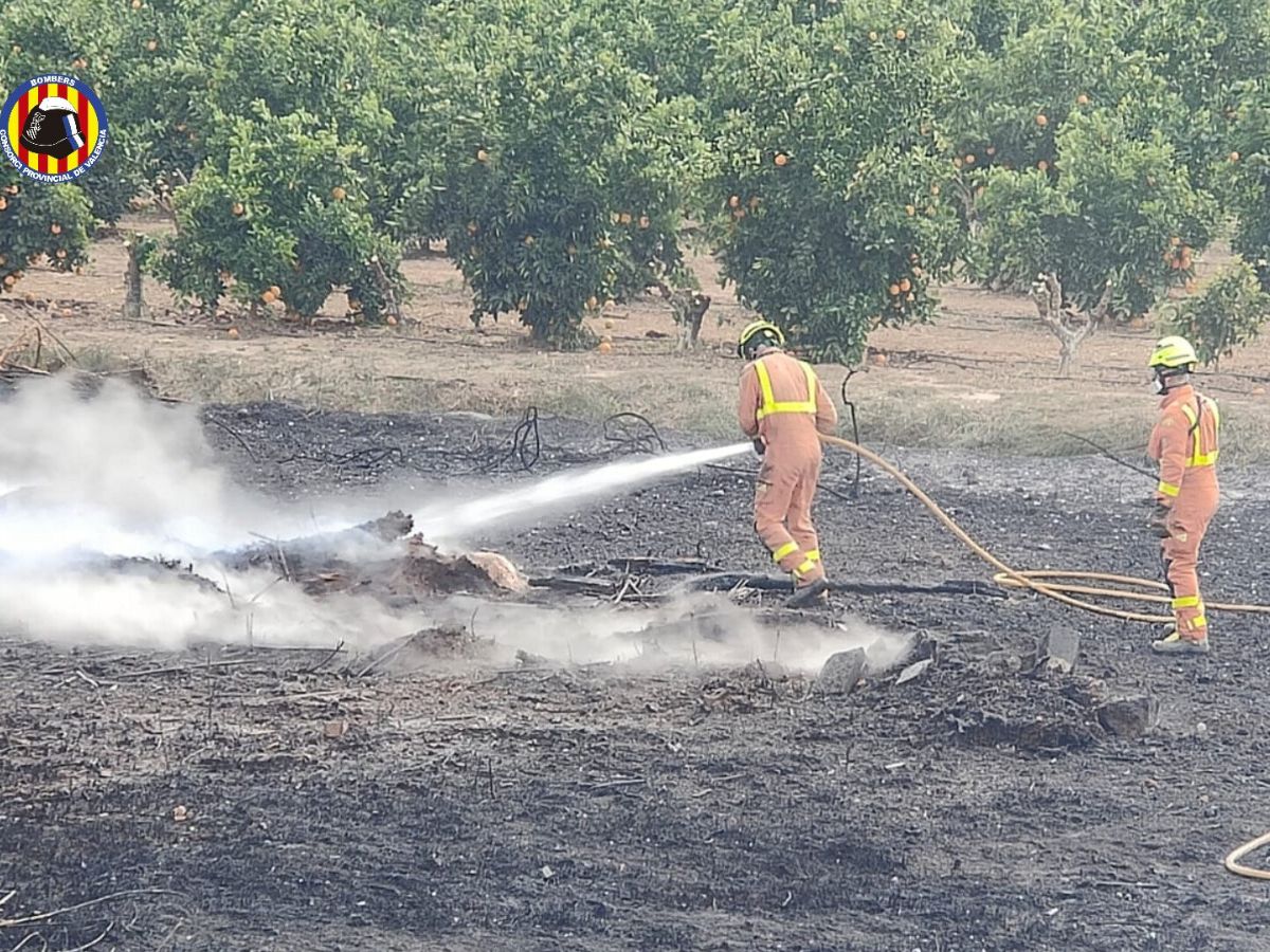 Incendio forestal en la marjal de Sagunto, en el límite con Castellón