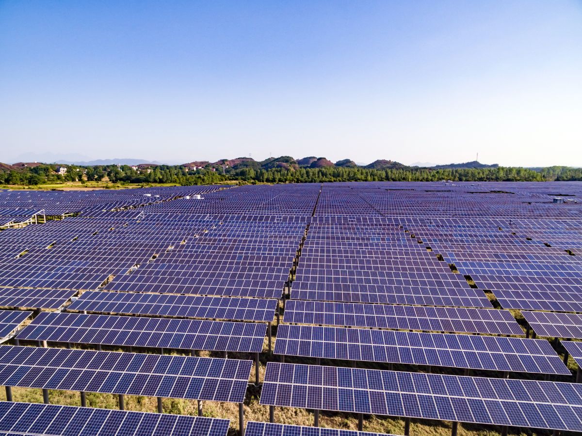 Joves PV pide protección a Bruselas ante las macroplantas solares