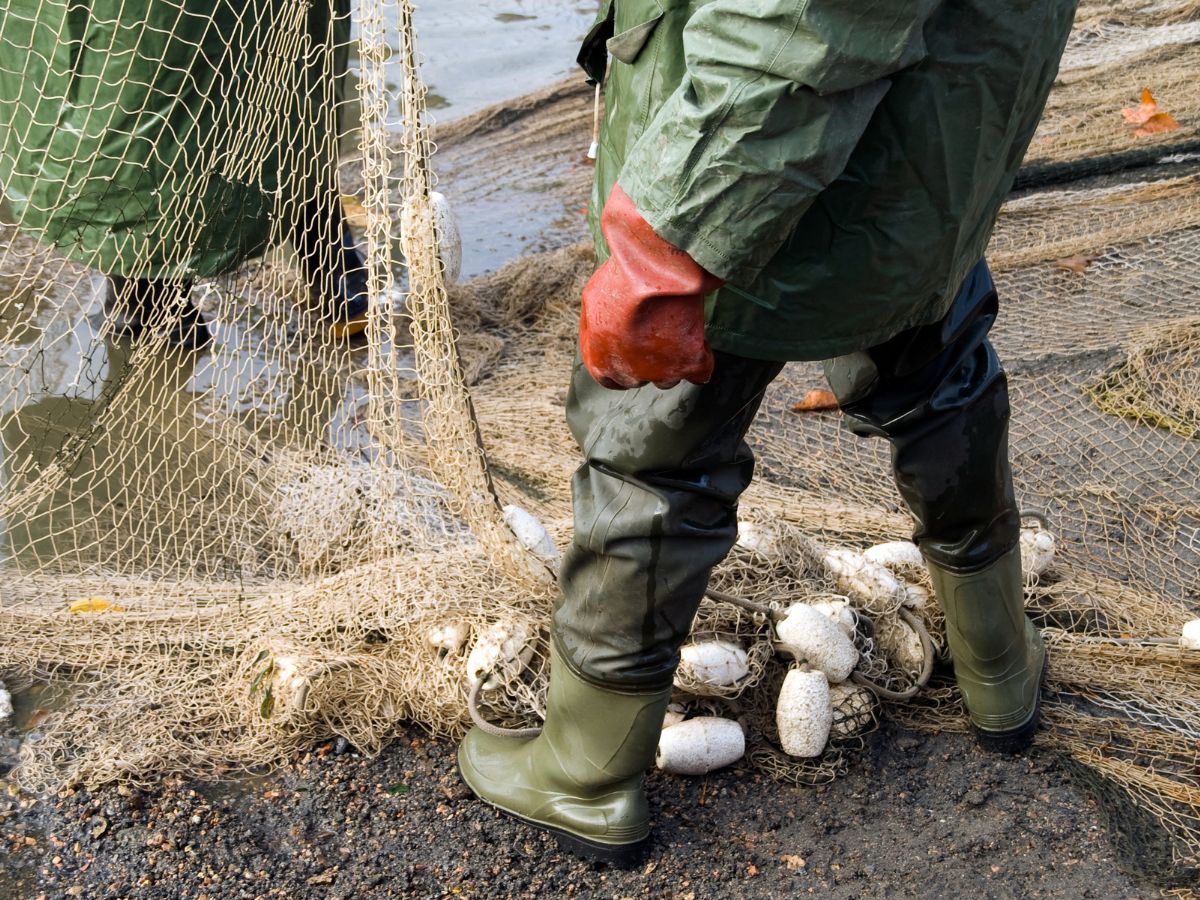 Cofradías de Pescadores Valencianas abandonan COINCOPESCA