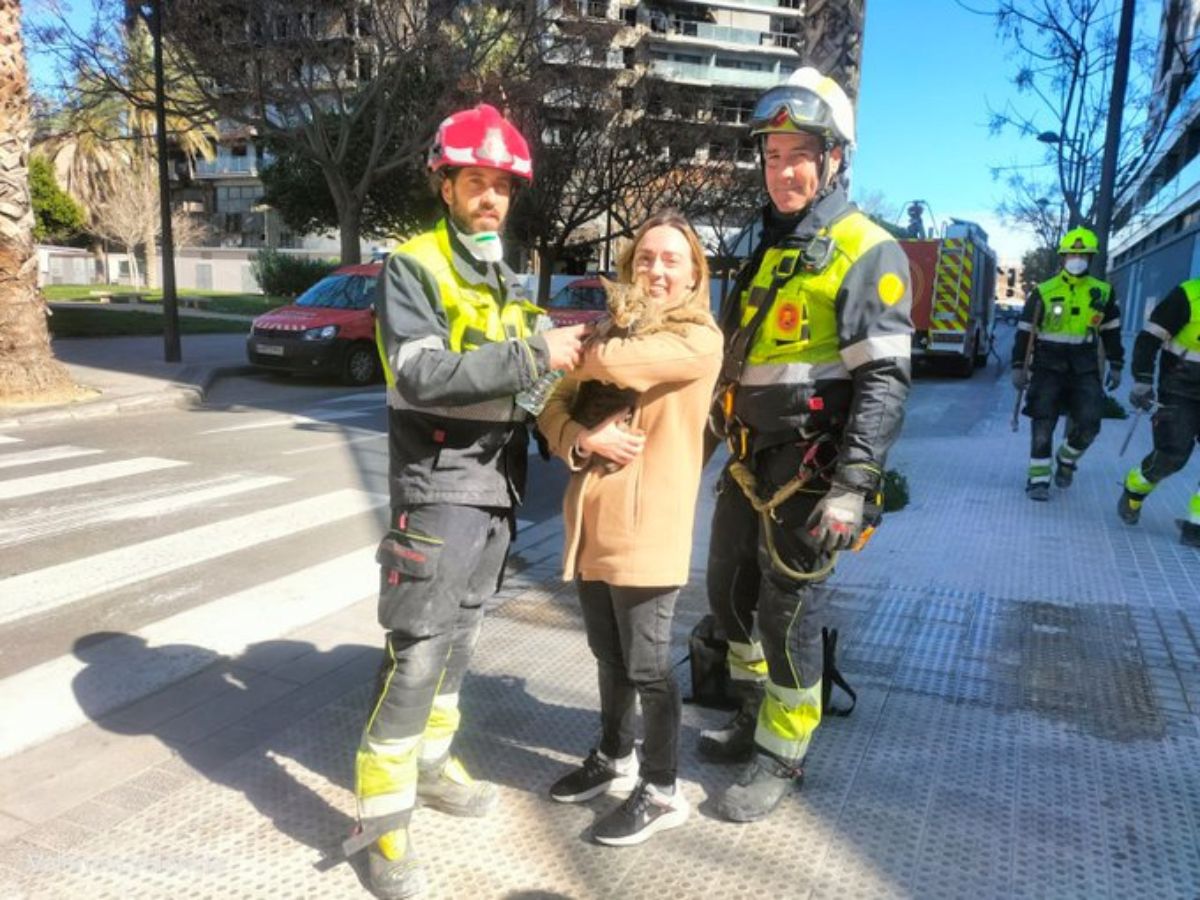 Los Bomberos encuentran con vida a un gato tras el incendio de Valencia