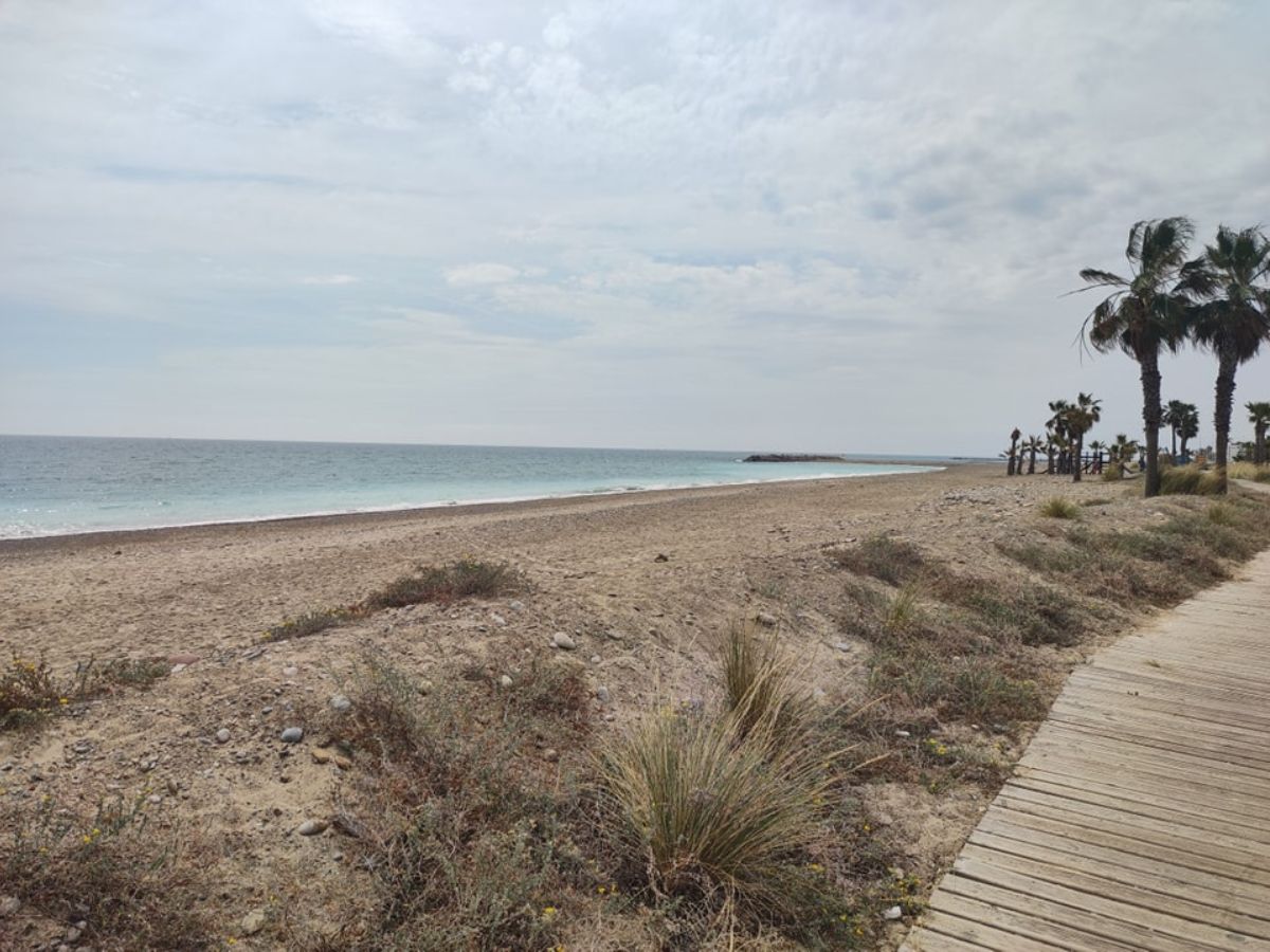 PortCastelló aportará 7.000 m3 de arena a la playa de Almassora