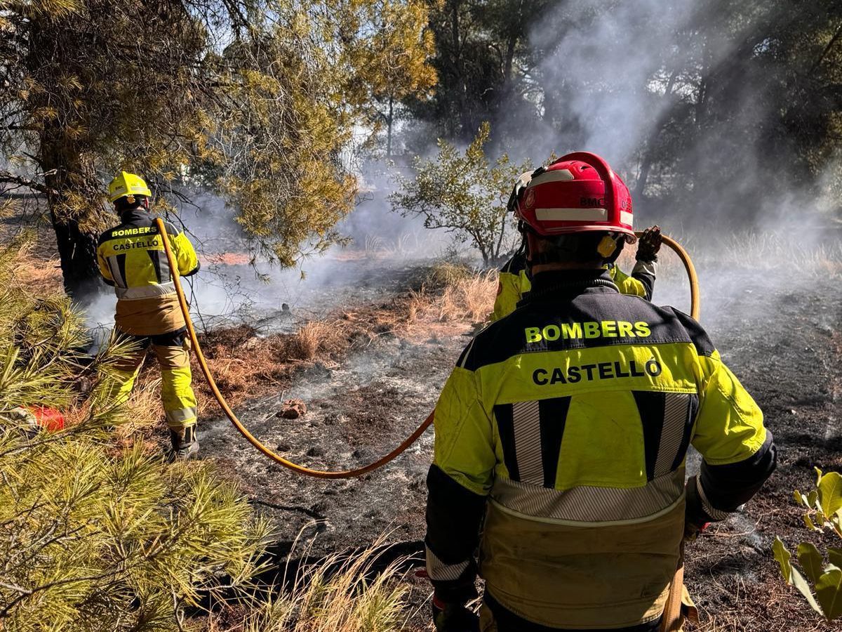 Resultado del incendio de vehículos en la 'Romeria de les Canyes'