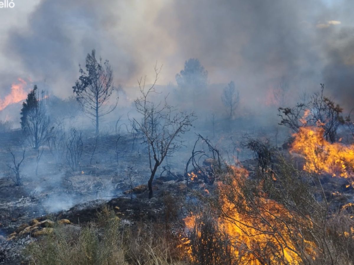 Se declara incendio forestal en Onda