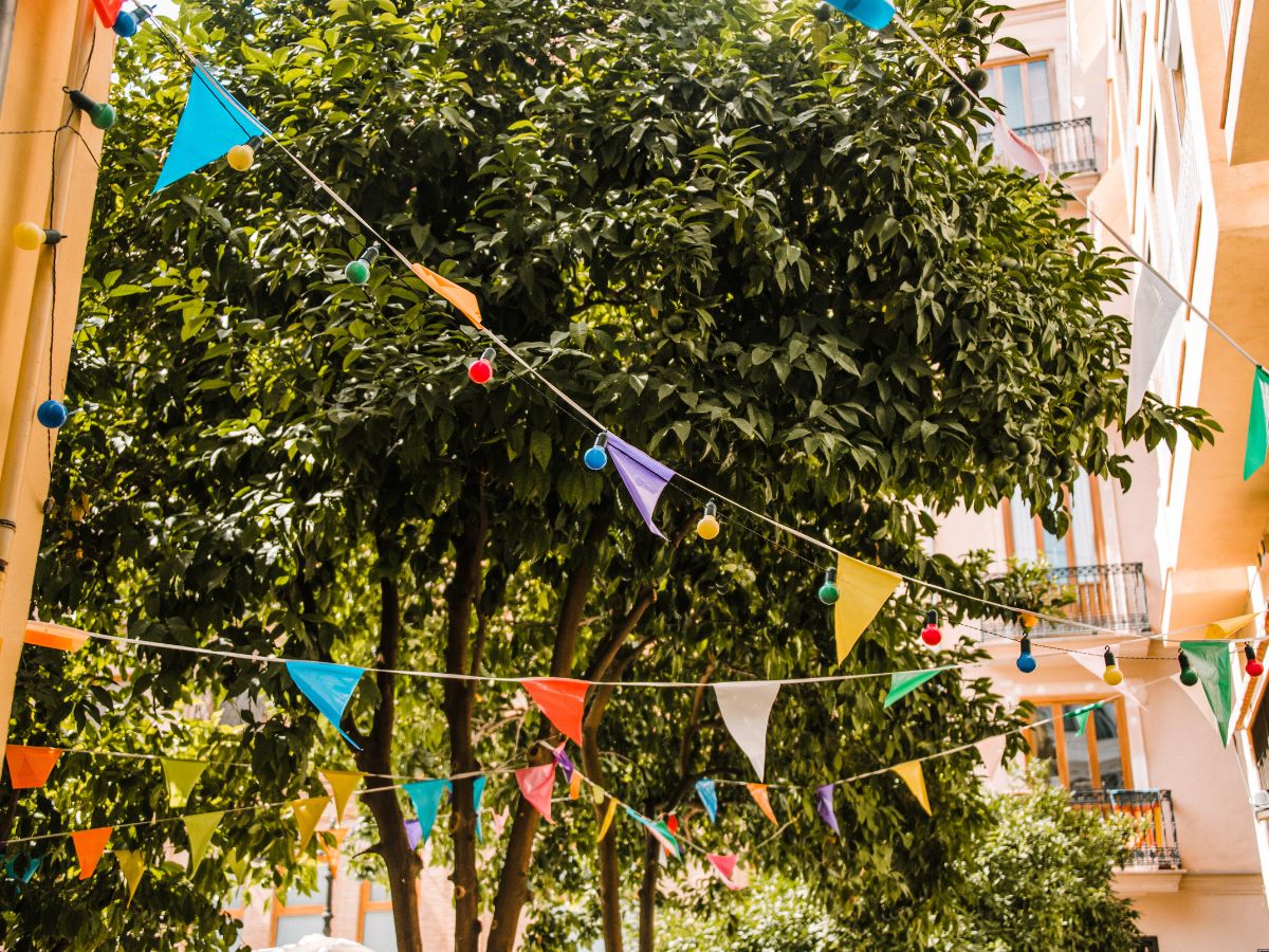 Fiestas de Sant Vicent 2024 en La Llosa