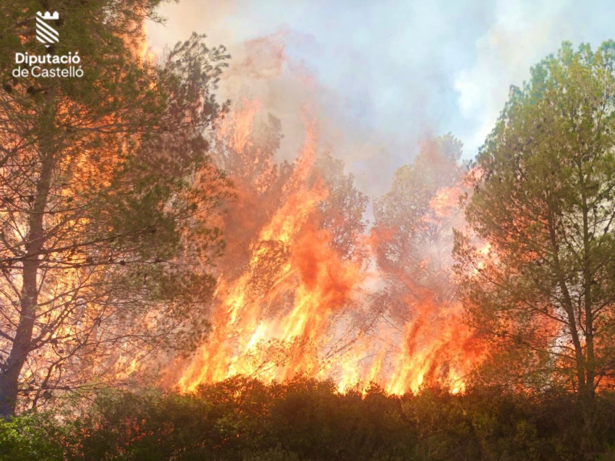 Un incendio forestal en Atzeneta vuelve a activar las alarmas estabilizado