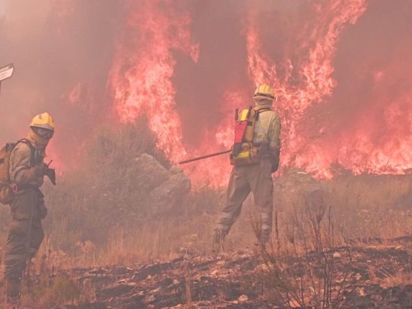 Un incendio forestal en Atzeneta vuelve a activar las alarmas