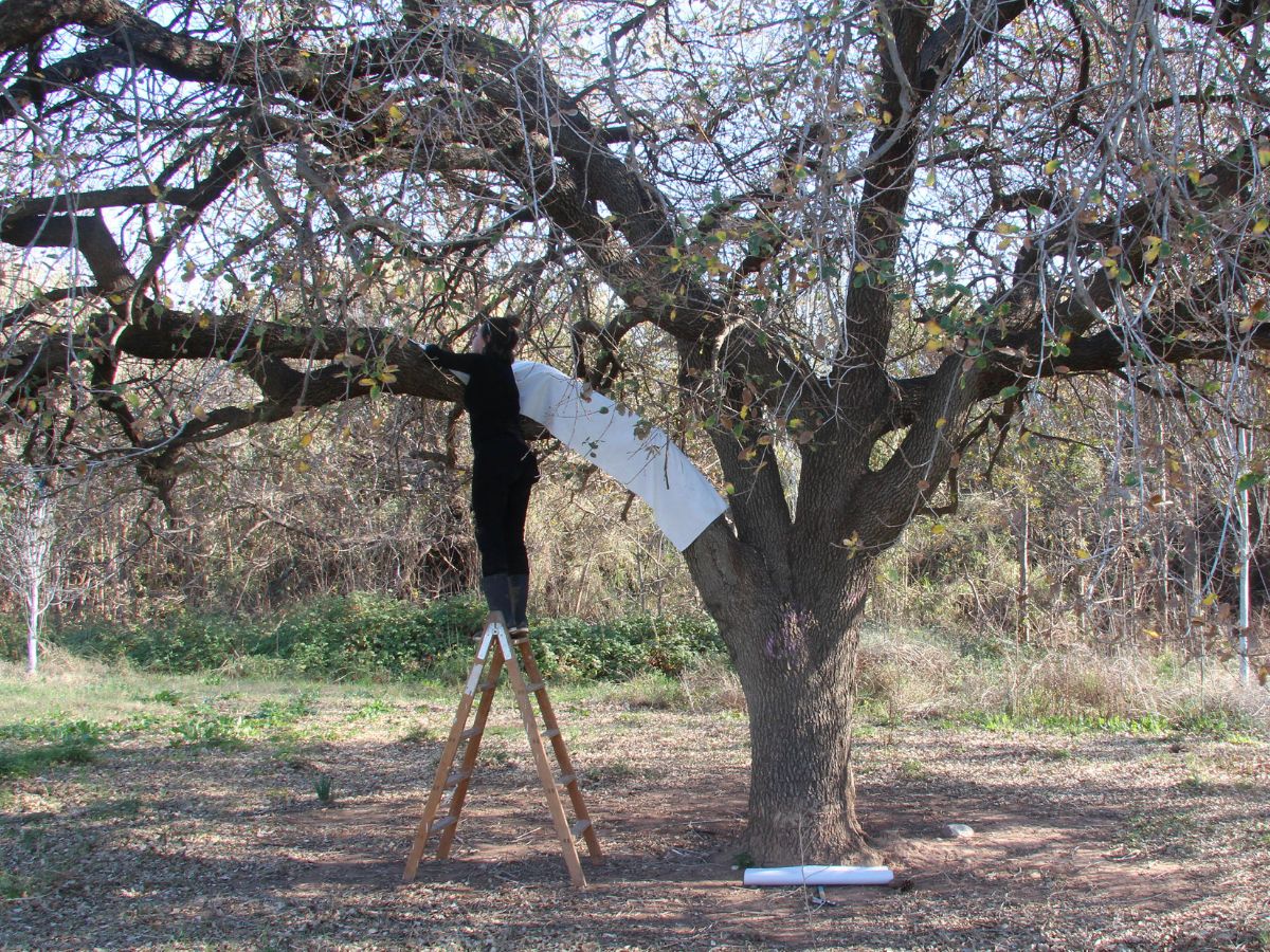 Vuelve El TEST 2024, la Mostra d’Art i Creativitat de Vila-real fotografía