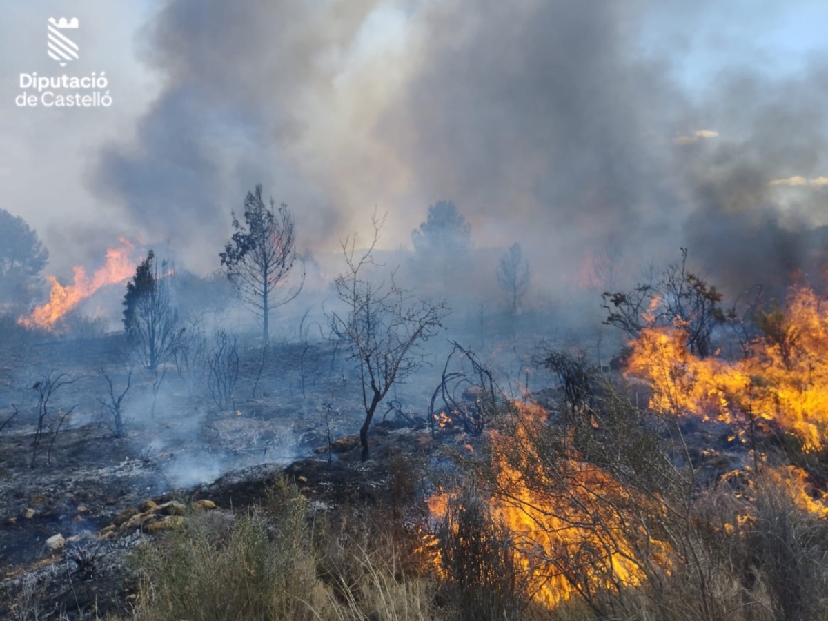 Incendio forestal en Santa Quiteria, entre Almassora y Vila-real