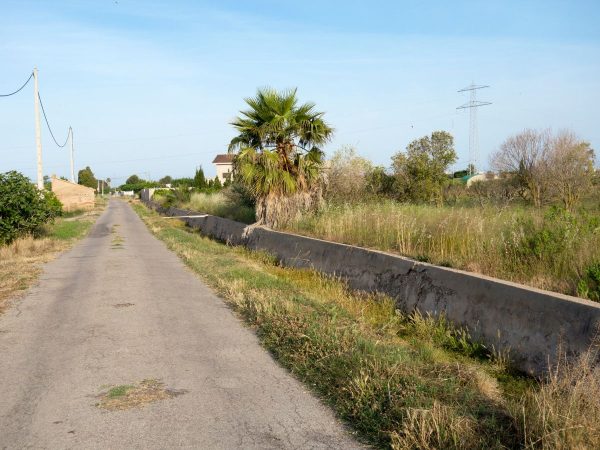 Control y prevención de mosquitos en la Marjalería de Castellón