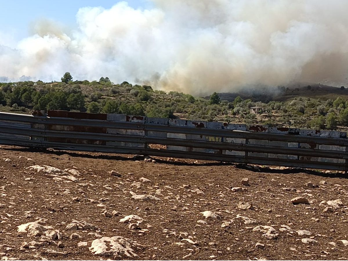 Declarado incendio forestal en Cabanes