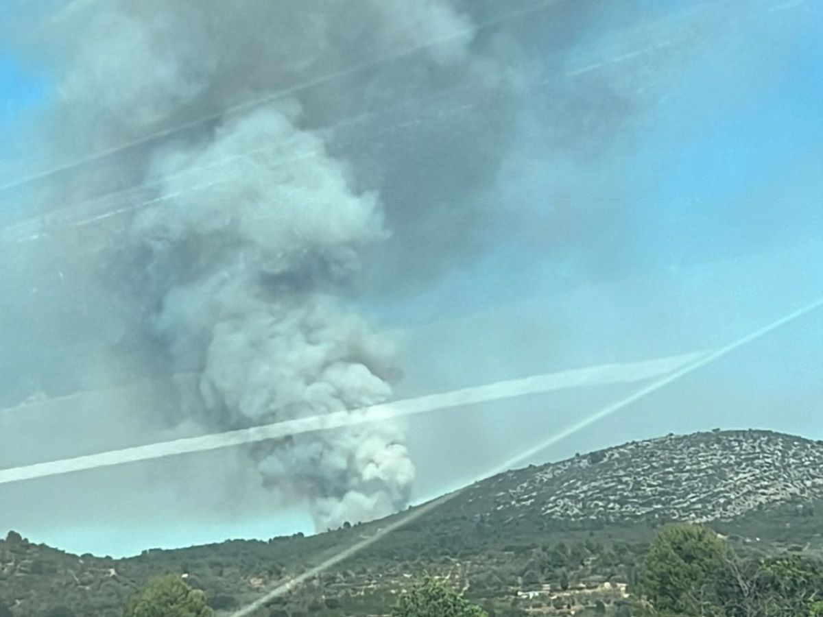 Declarado incendio forestal en Cabanes