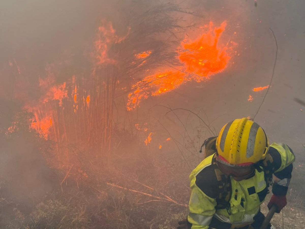 Declarado incendio forestal en Cabanes