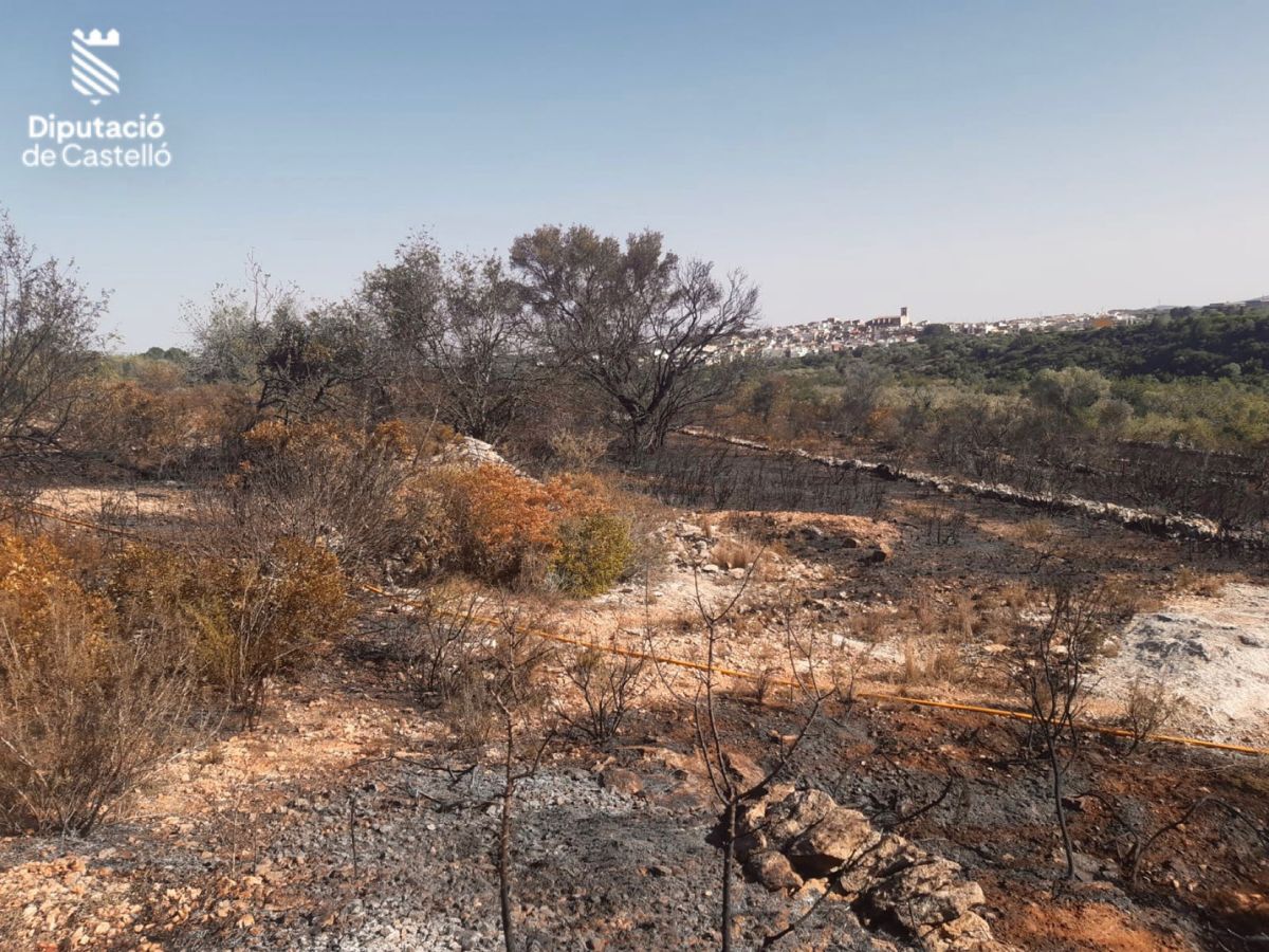 Declarado incendio forestal en Càlig