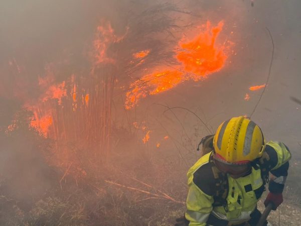 Declarado un incendio forestal en Artana