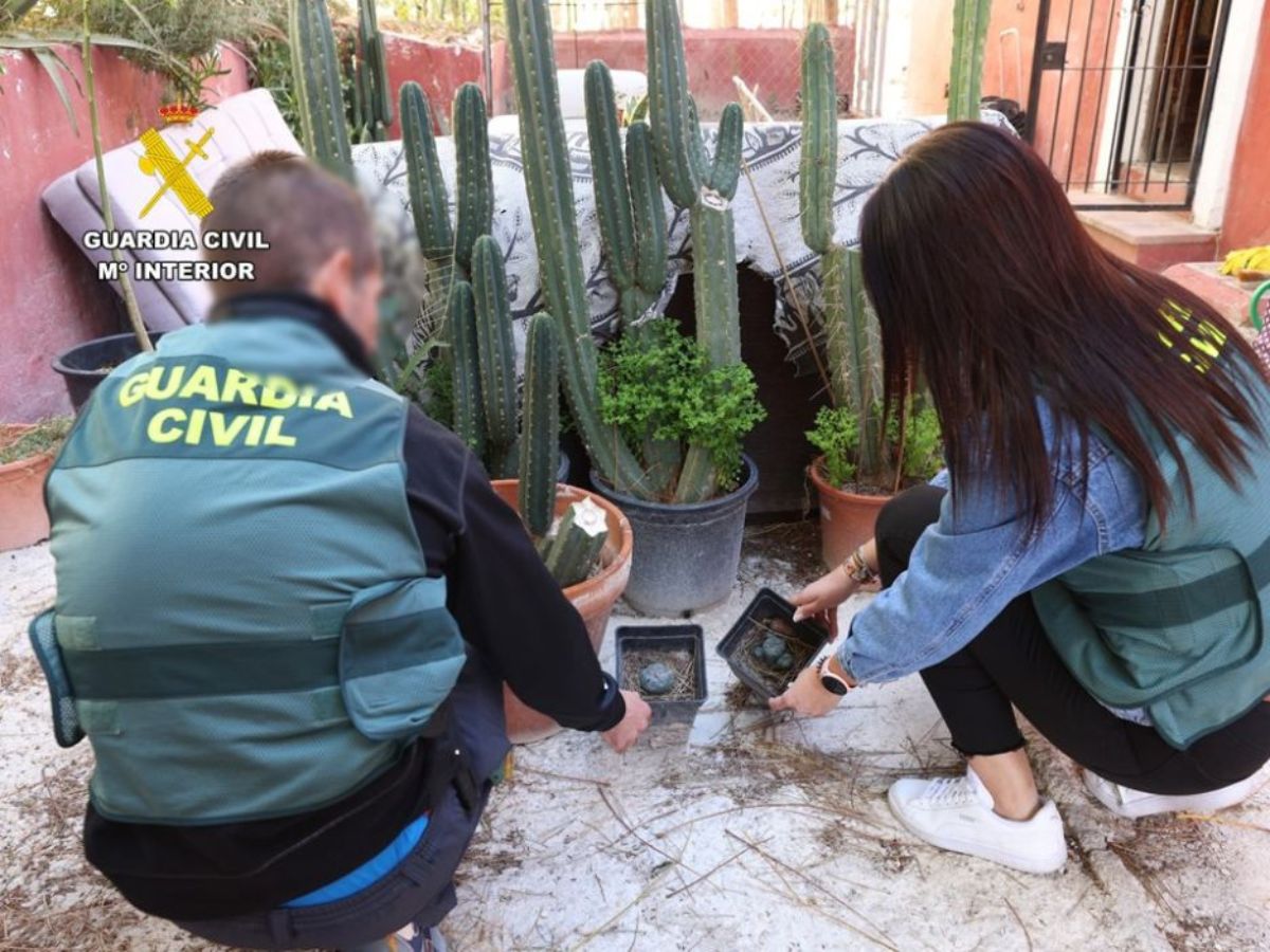 Detenido el gerente de un local de retiros espirituales