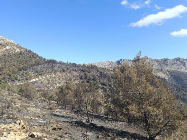 El incendio forestal de Tàrbena se da por extinguido