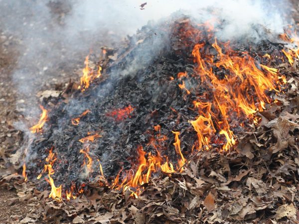 Generalitat emite «excepciones» a la prohibición de quemas agrícolas