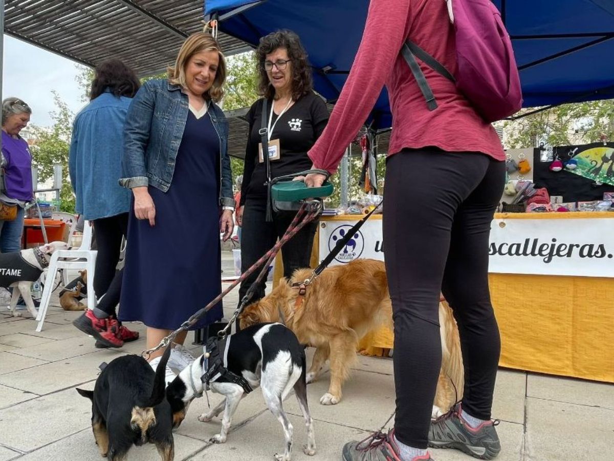 Gran éxito del Festival de Adopción de Benicàssim