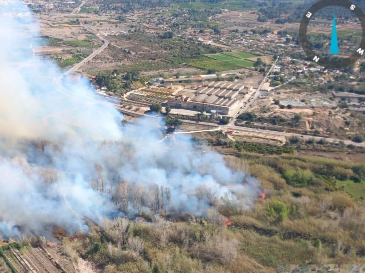 Incendio forestal en el Parque Natural del Turia en Vilamarxant 4