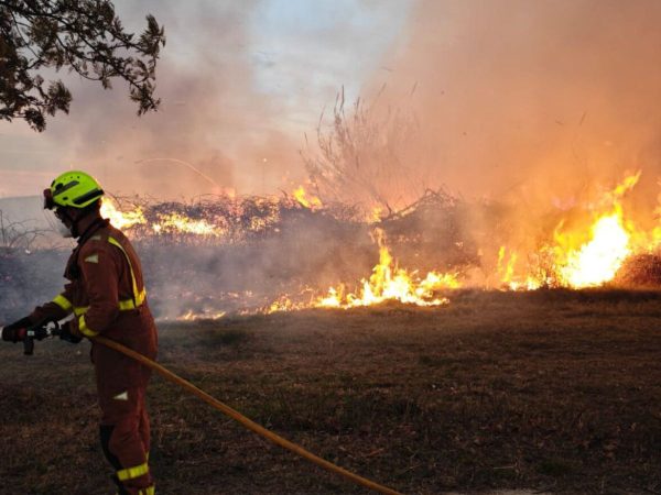 Incendio forestal en el Parque Natural del Turia en Vilamarxant