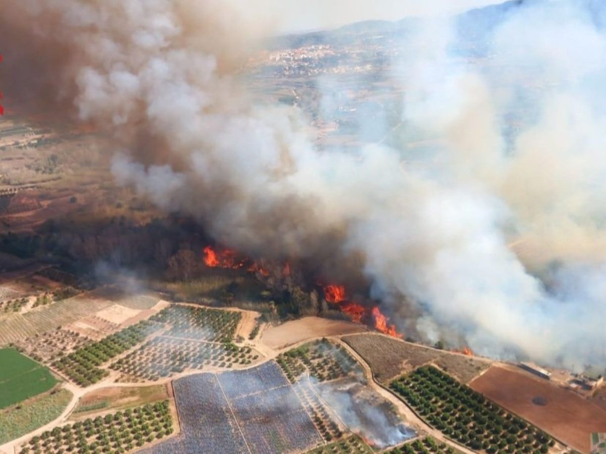 Incendio forestal en el Parque Natural del Turia en Vilamarxant 1